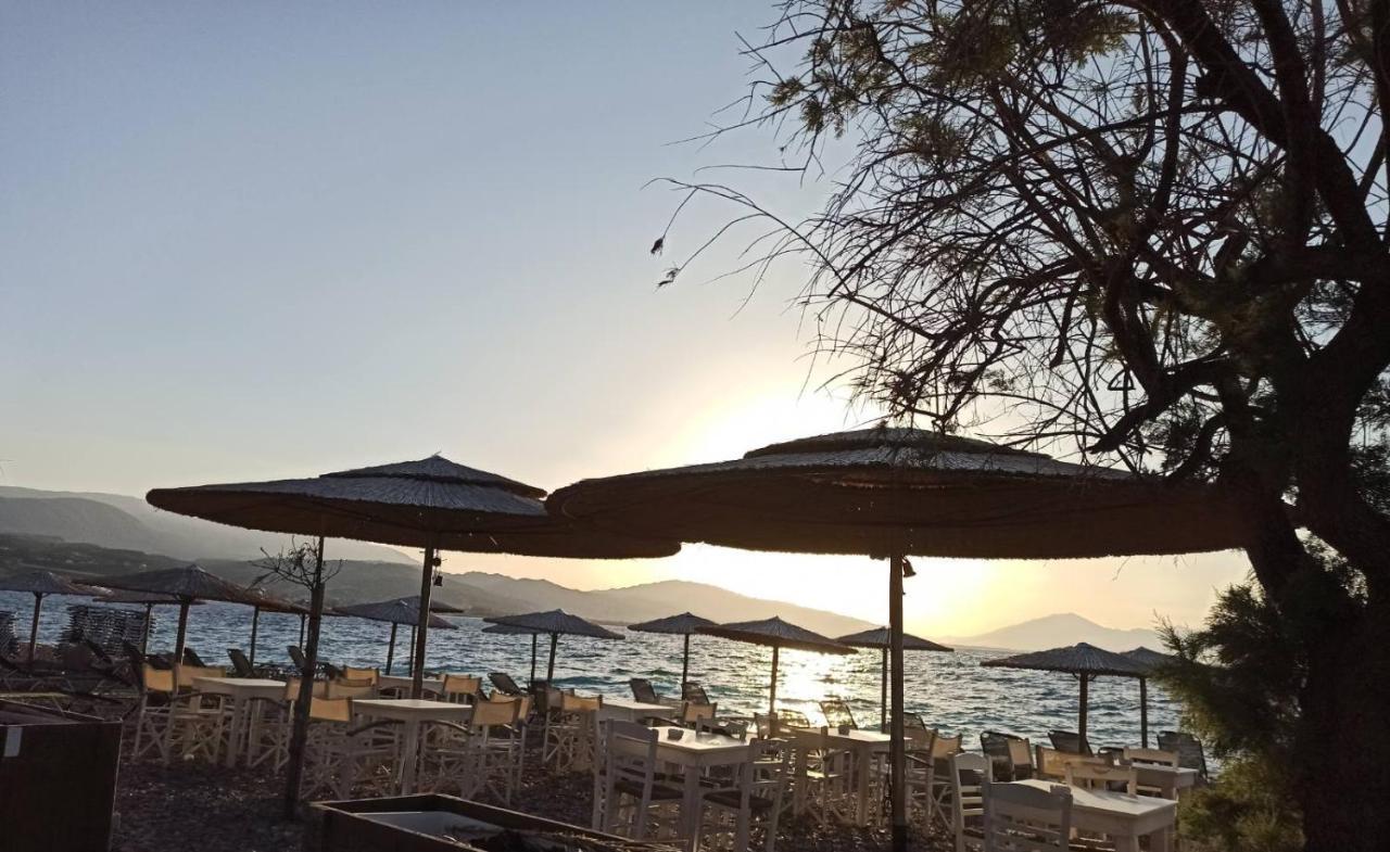 Aliki Hébergement de vacances