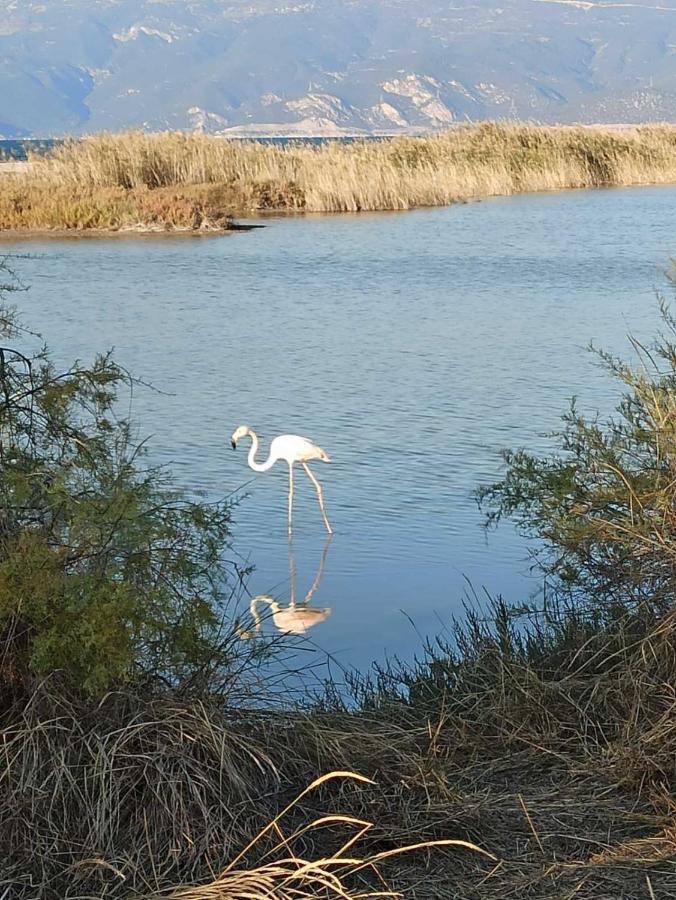 Aliki Hébergement de vacances Aigio